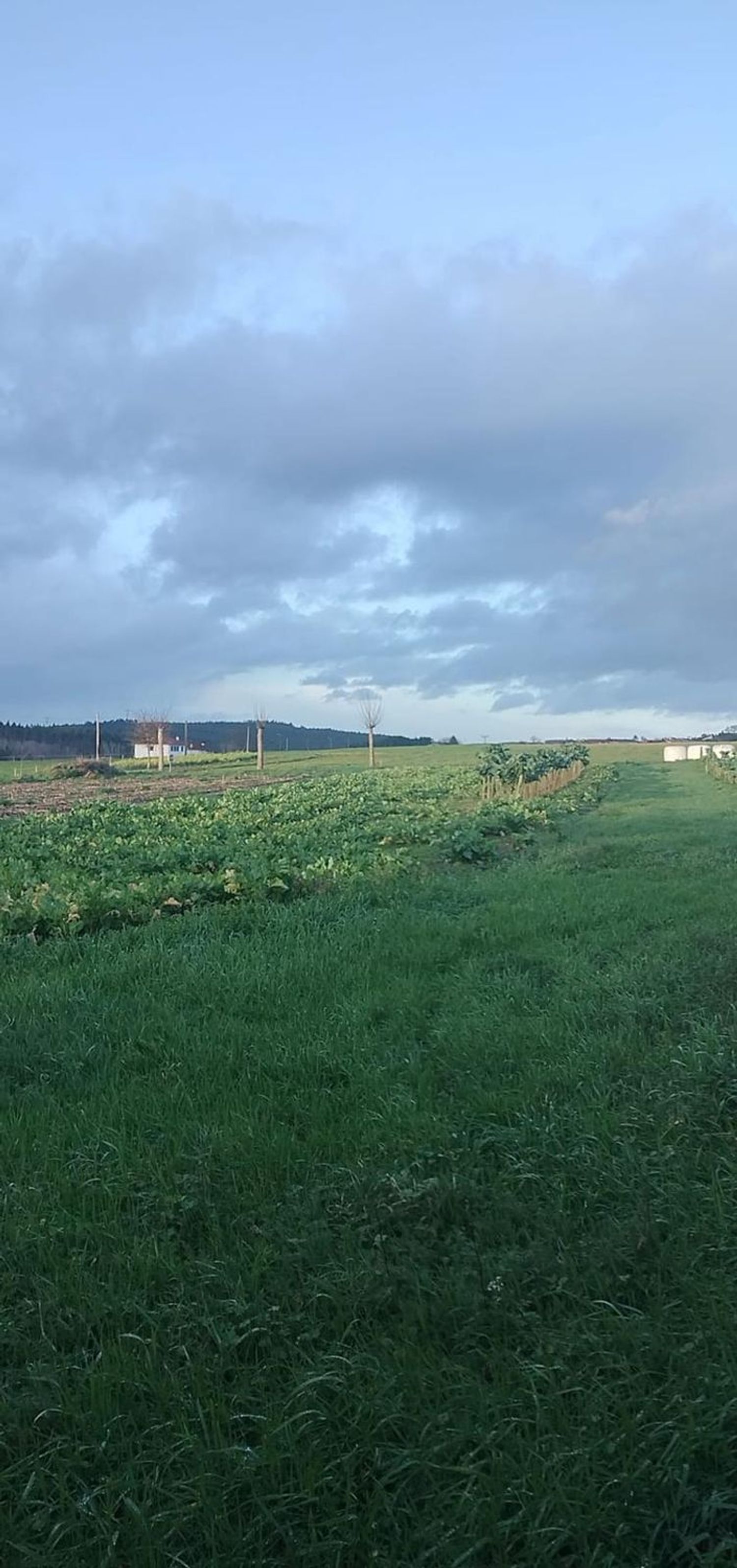 Finca rústica en Rabal Abaixo 15823 El Pino, 505 RabalAbaixoElPino - Foto 29