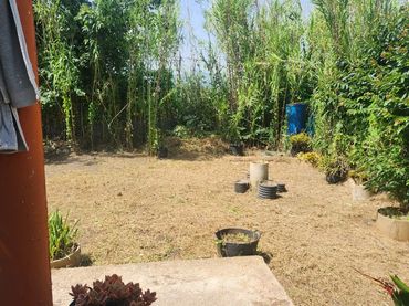Finca rústica en - Foto 12
