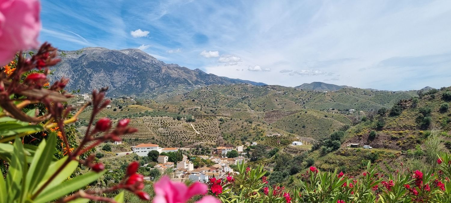 Casa rural en Cañada de los Rosales, Viñuela, Málaga, 10 - Foto 23