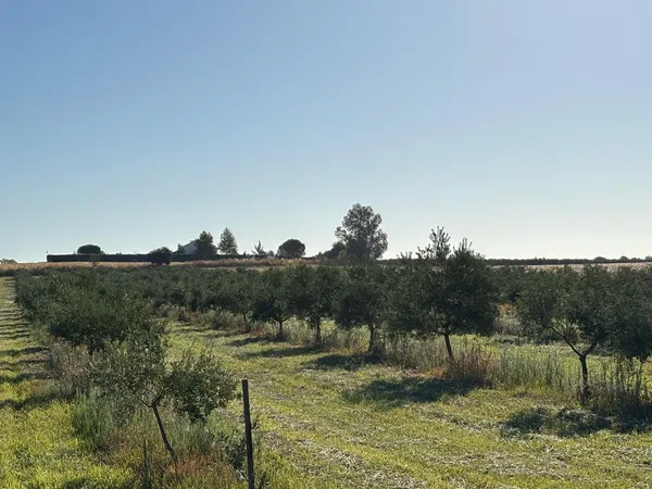 Casa o chalet independiente en Montijo - Foto 39