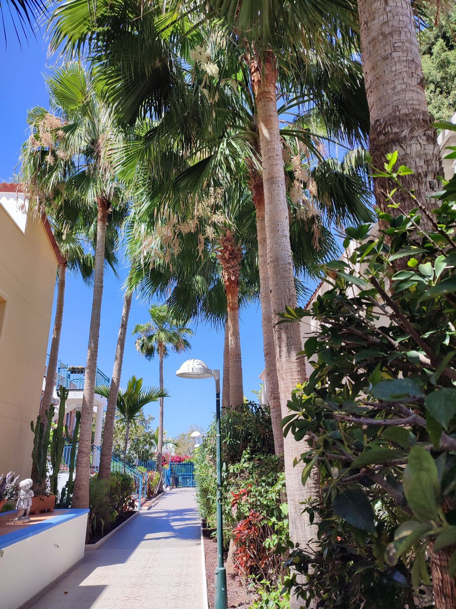 Piso en calle La Zahorra, 11 - Foto 26