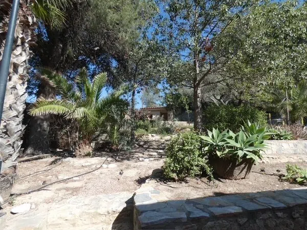 Casa o chalet independiente en Calle Mostaza, 7, Santa Faz - Foto 38