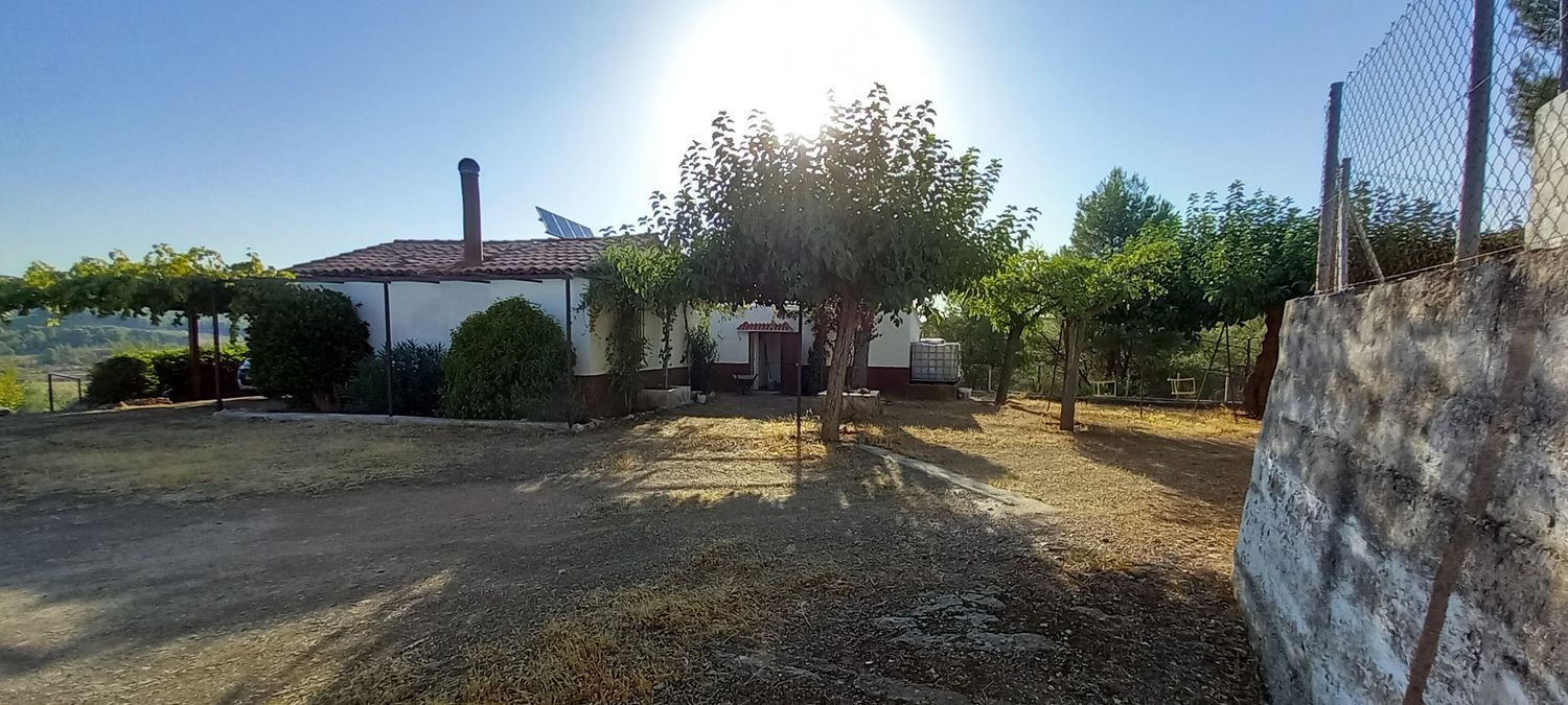 Finca rústica en Carretera de San Antonio s/n - Foto 7