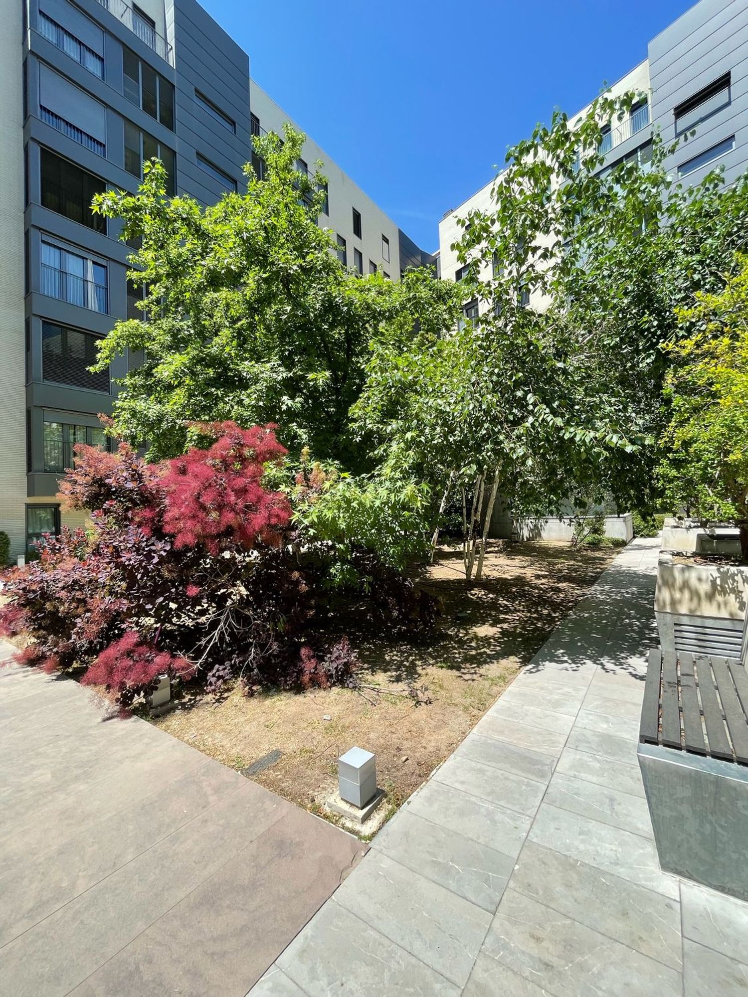 Piso en Plaza Alcalde Moreno Torres, 1, Sanchinarro - Foto 6