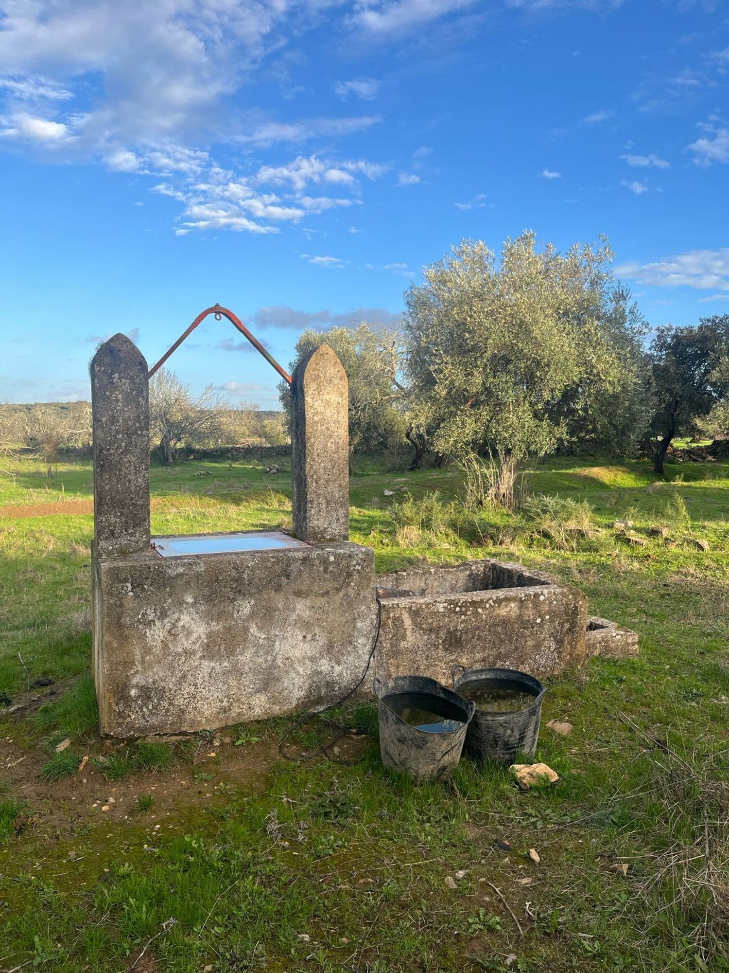 Finca rústica en . s/n - Foto 5