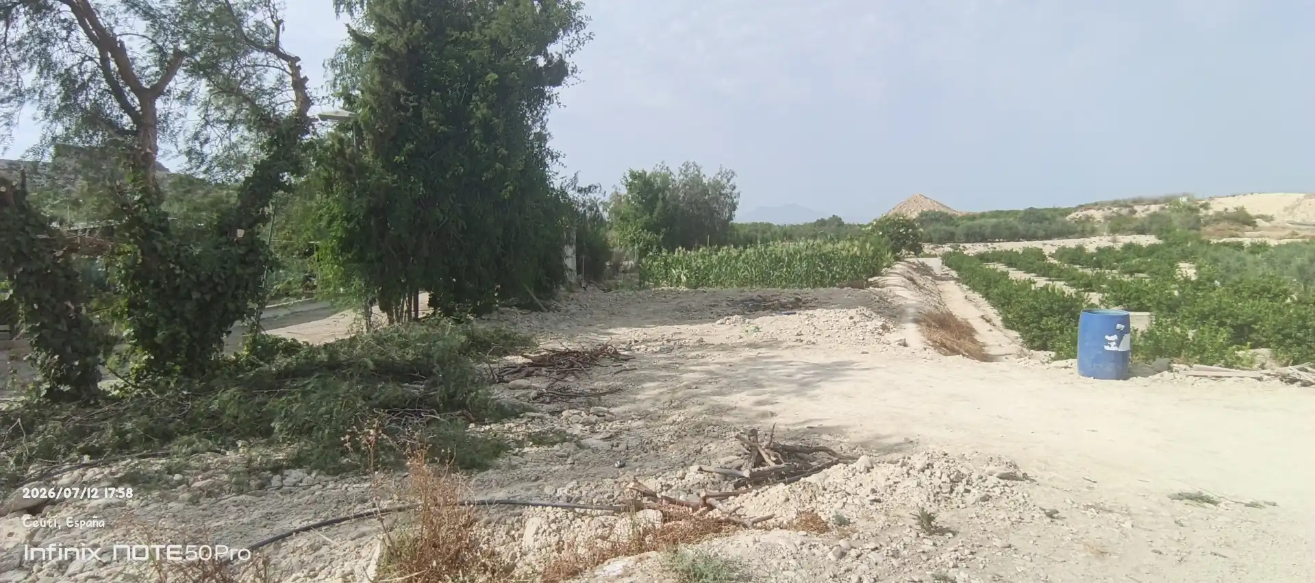 Finca rústica en  Autovía de Murcia 582 - Foto 10