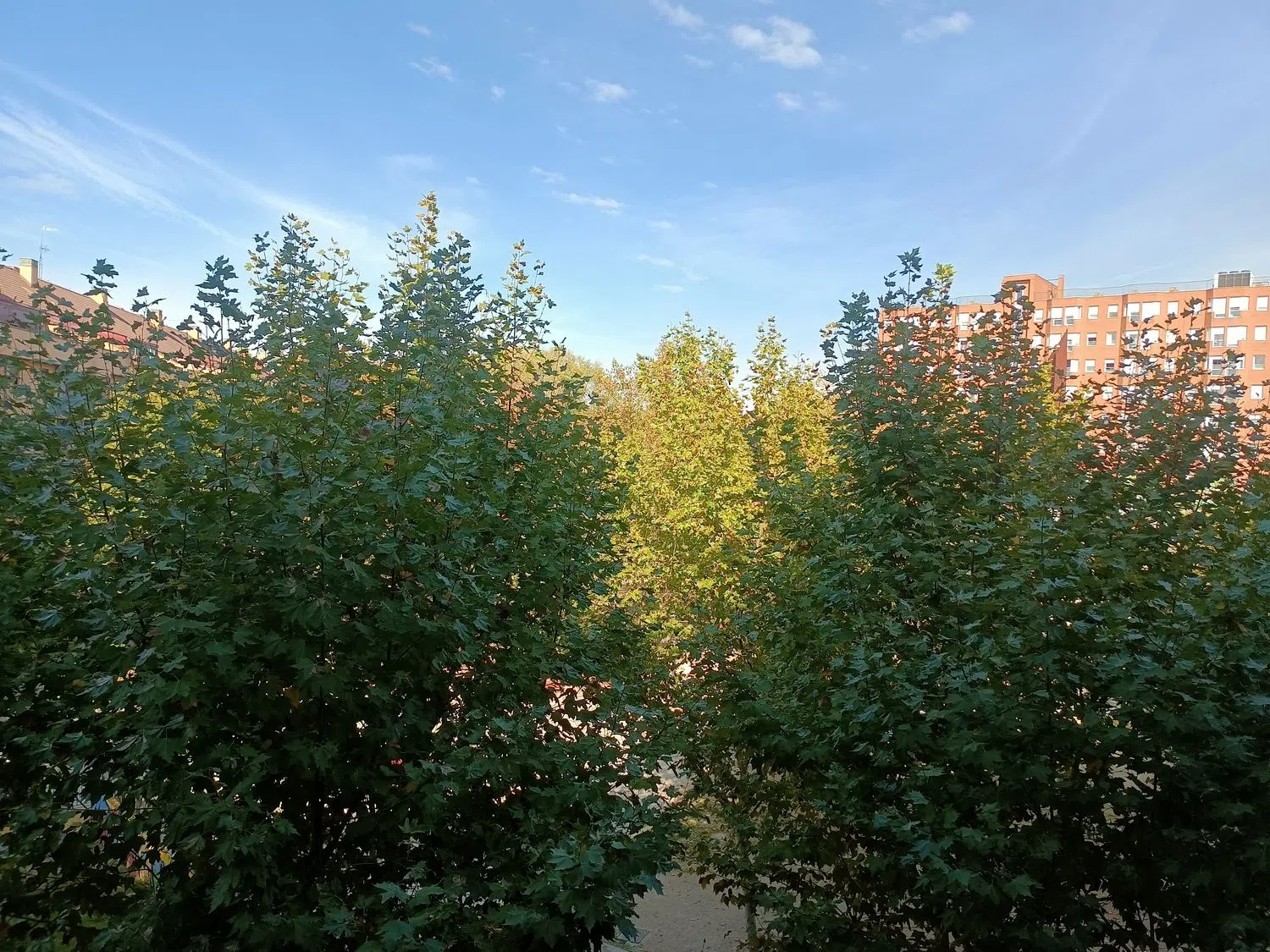 Piso en paseo Pontones, 22 - Foto 3