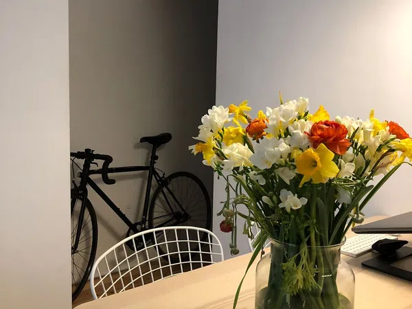 Piso en Calle de Buenavista, 38, Lavapiés-Embajadores - Foto 9