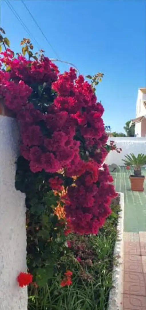 Casa adosada en Semicentro Mazagón Playa - Foto 3