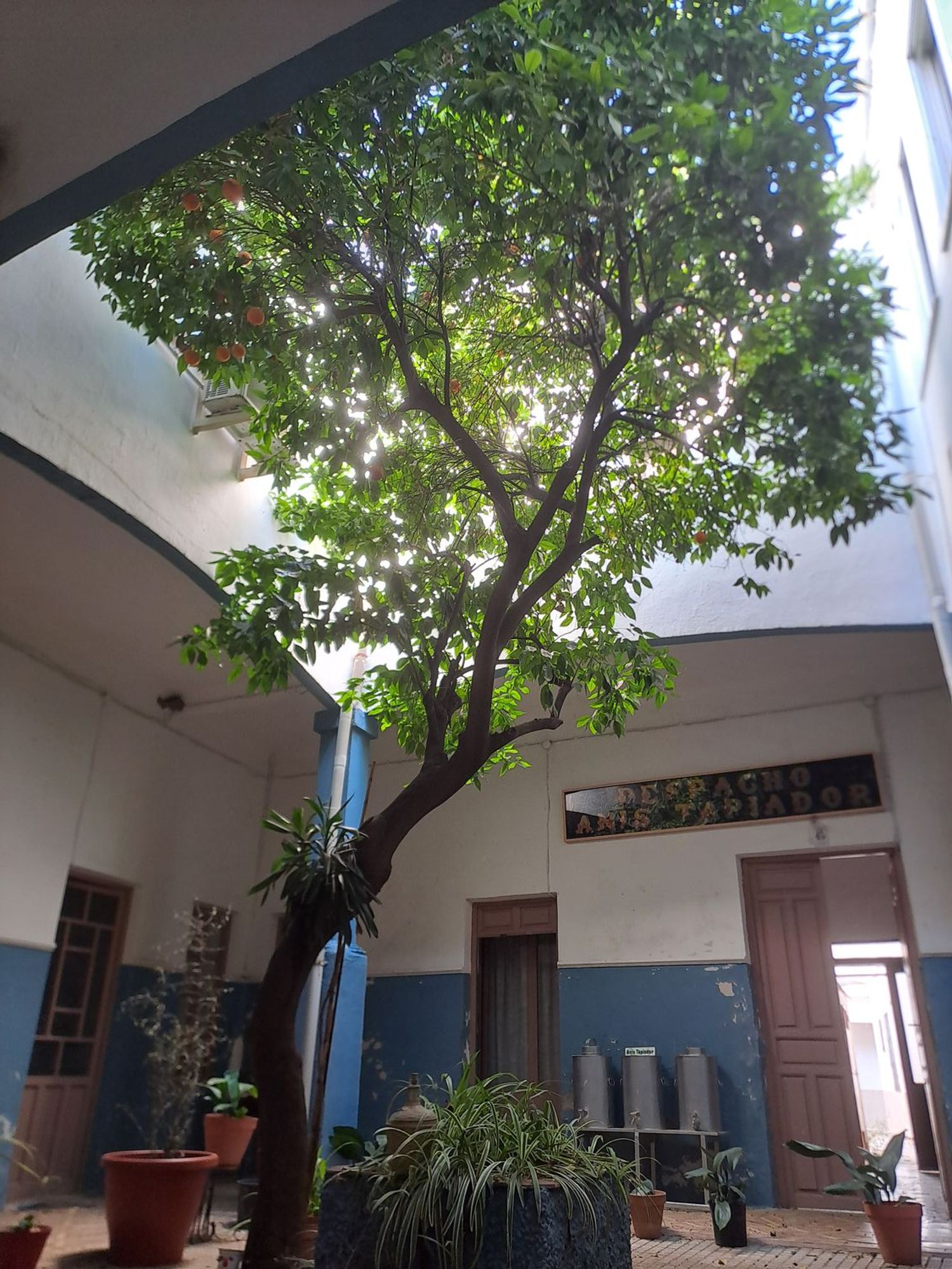 Piso en Calle Tercia, 62 Sinnmero - Foto 10