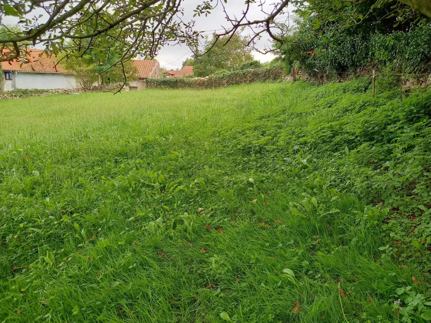 Terreno Residencial en  Lamadrid-Radillo 1 - Foto 4