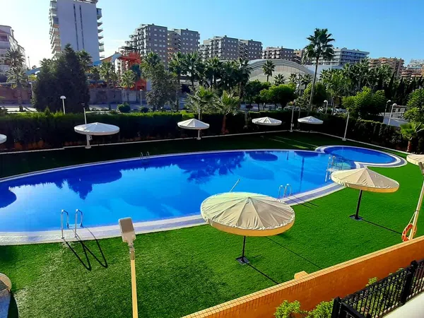 Piso en Avenida Central, 14, Marina Trebol - Neptuno - Foto 12