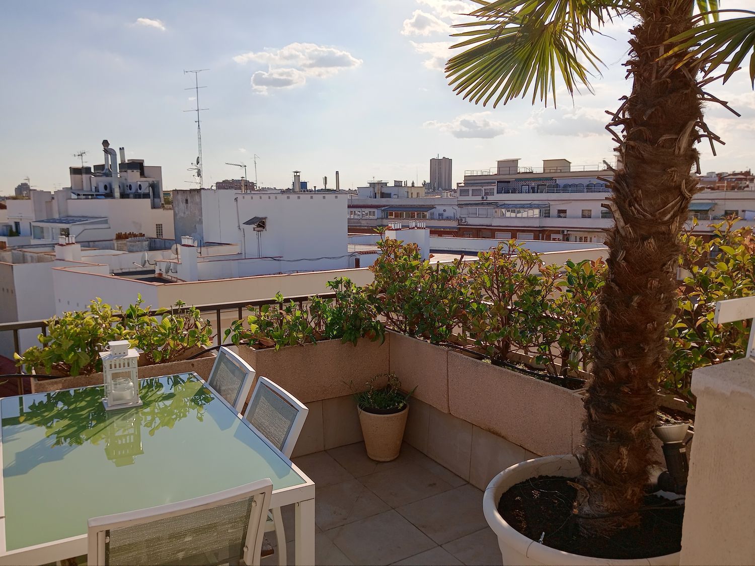 Ático en paseo Marqués de Zafra, 5 - Foto 3