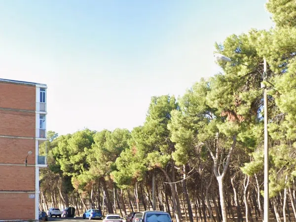 Piso en Barrio Pinares de Venecia - Foto 12