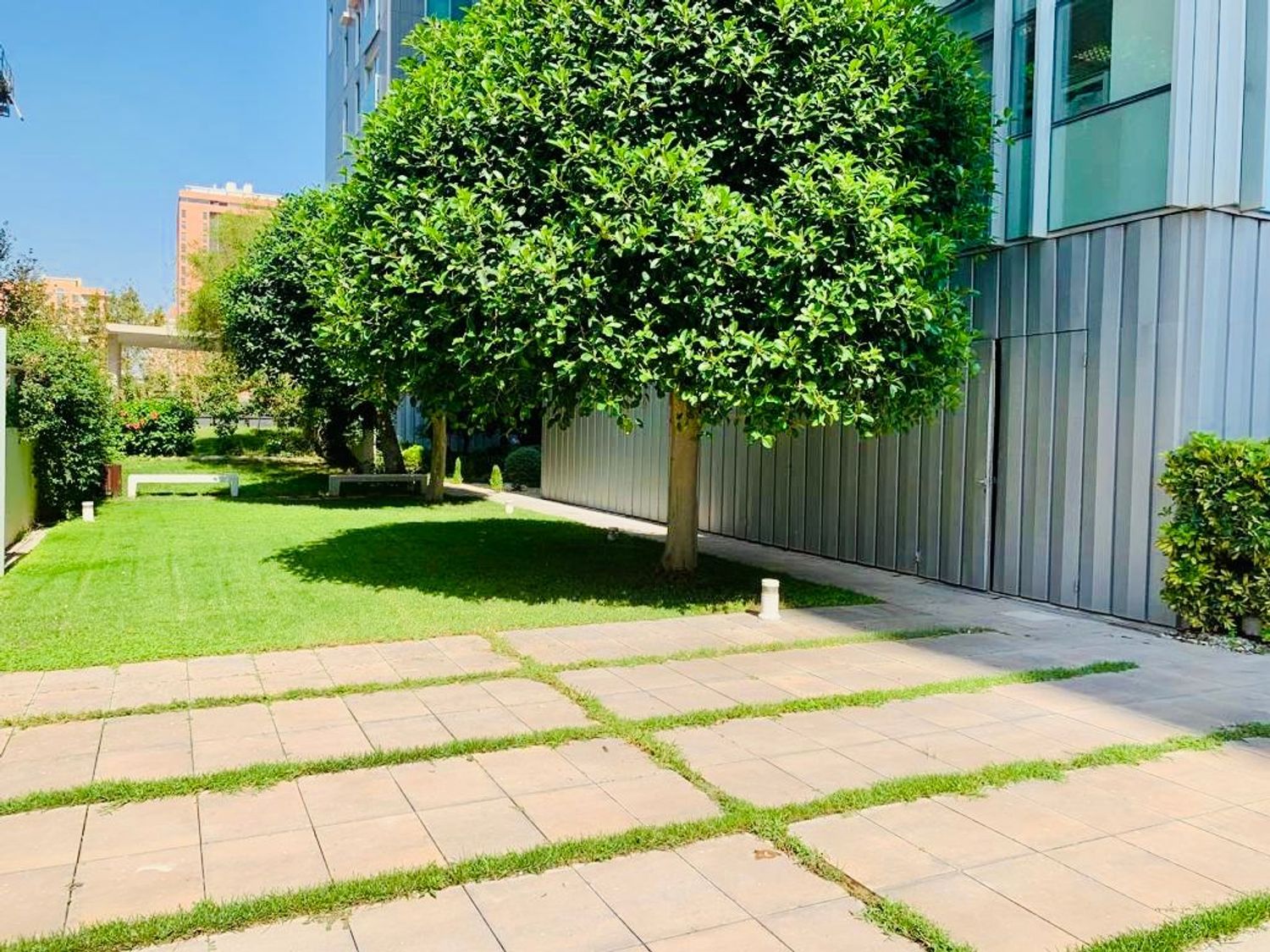 Piso en Avenida d'Amado Granell Mesado, 72, Ciutat de les Arts i de les Ciencies - Foto 30