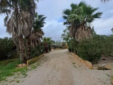 Finca rústica en  Camí de Son Lluch 314 - Foto 9