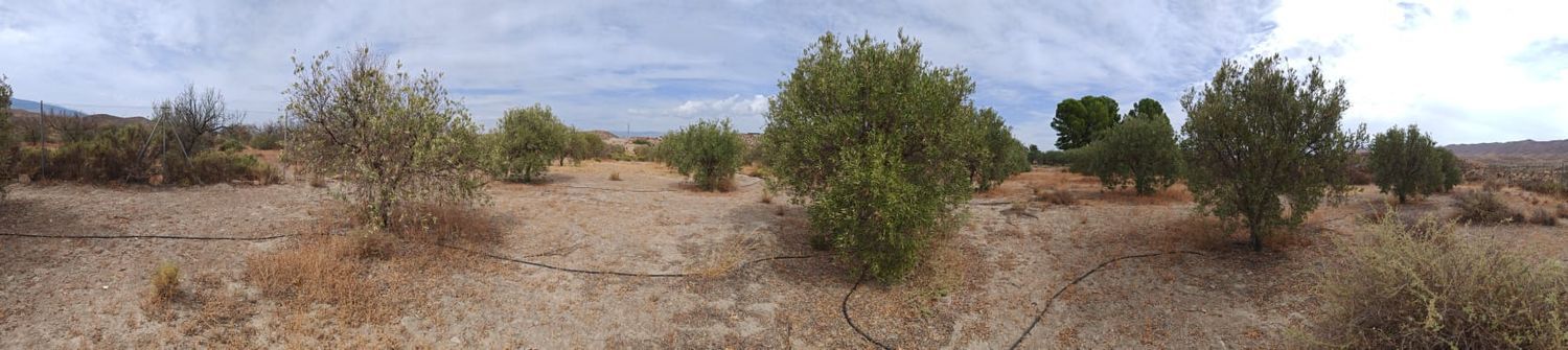 Finca rústica en Marchales (Tabernas), 45 poligono - Foto 7