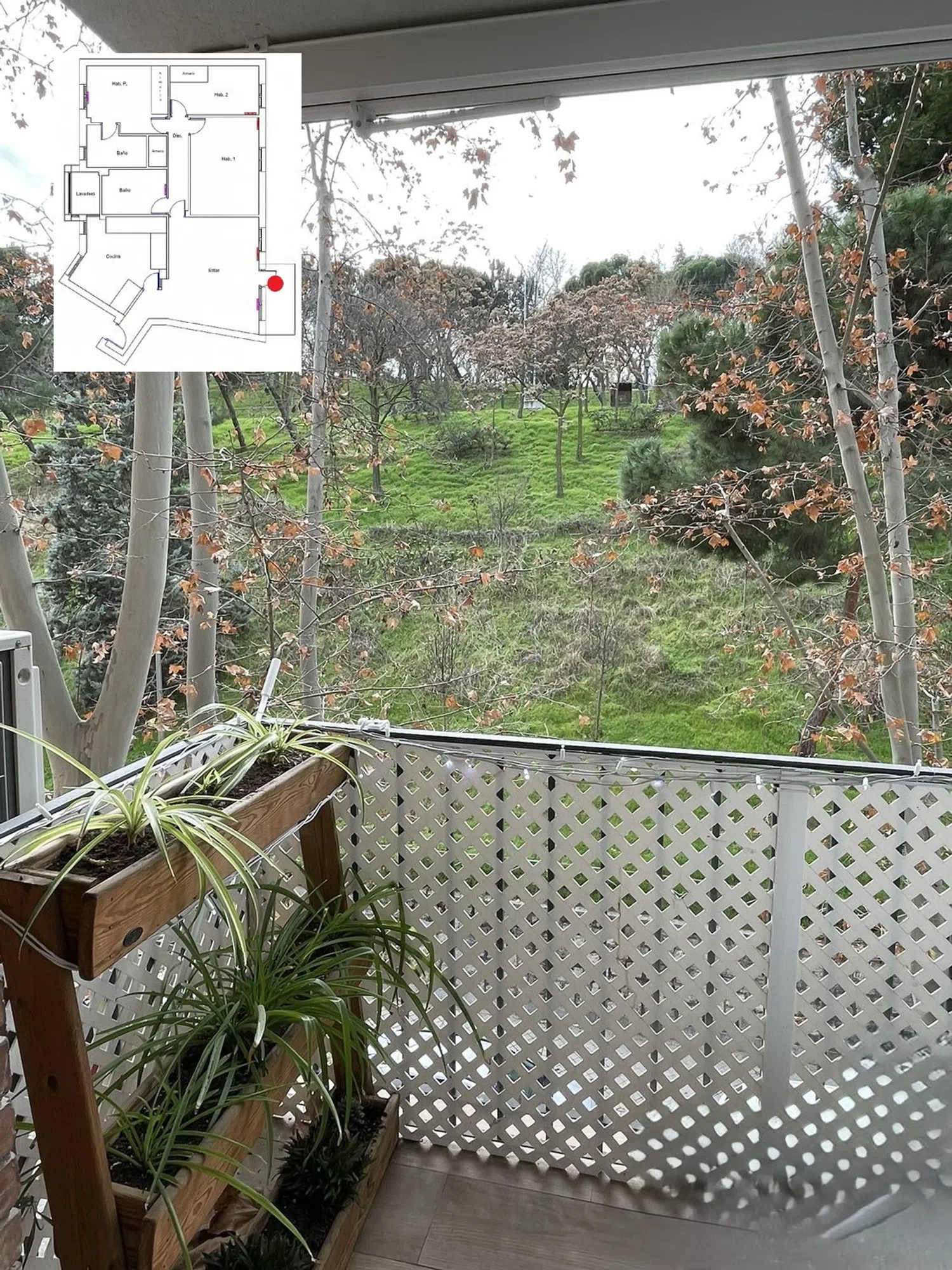 Piso en paseo de San Illán, 27 - Foto 5