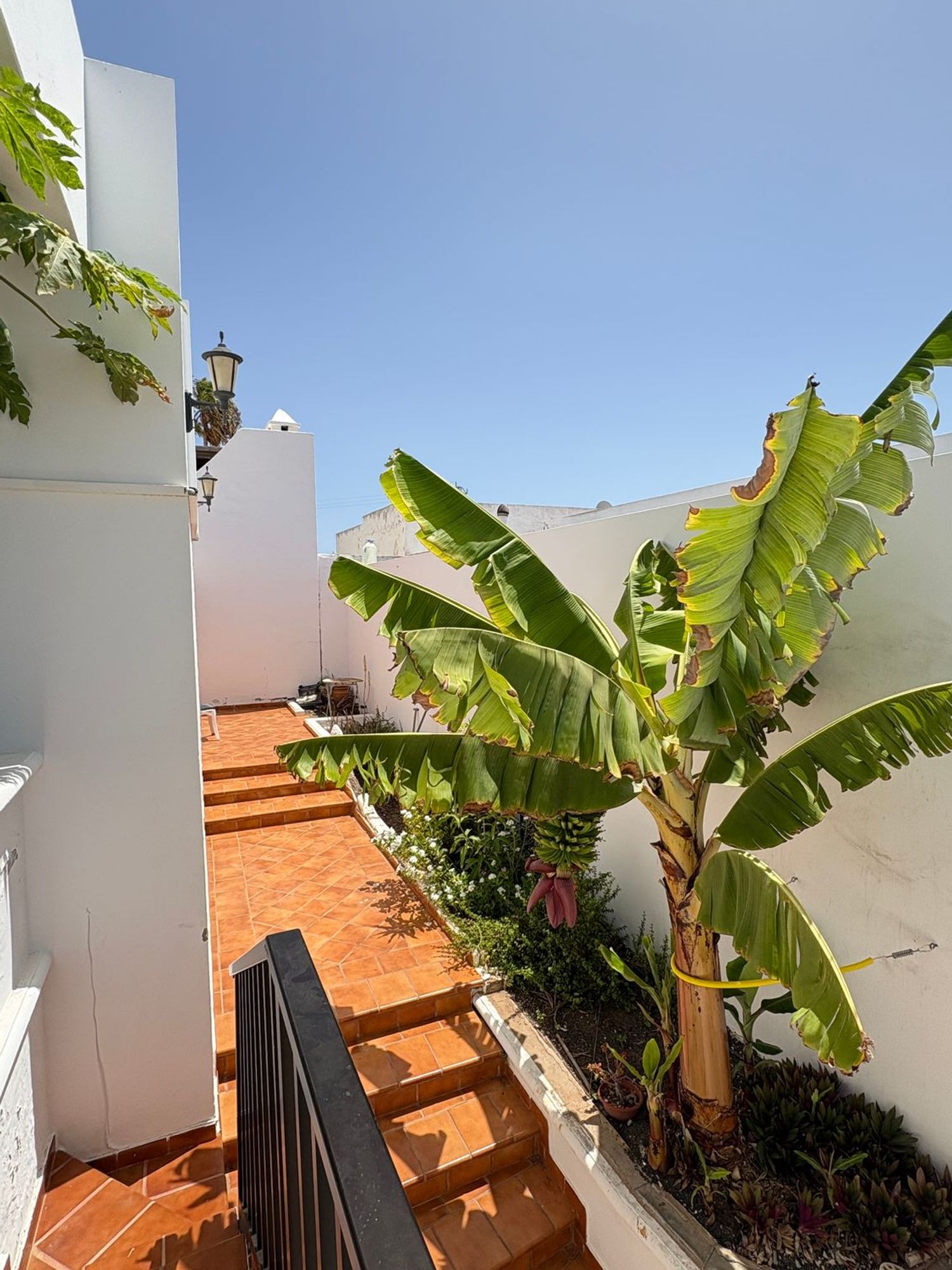Casa o chalet independiente en Albeniz, 6, Tahiche, Tahiche - Foto 22