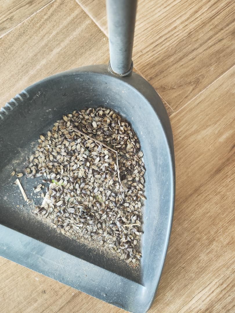 Piso en  Avenida Federico García Lorca 26 - Foto 24