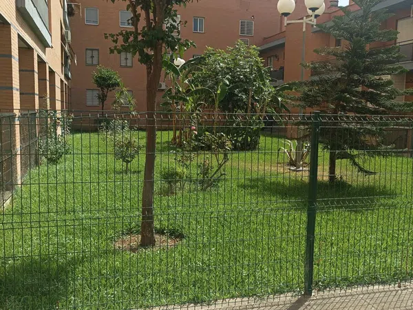 Piso en Calle Corral del Agua, 1, Pino Montano - Foto 26