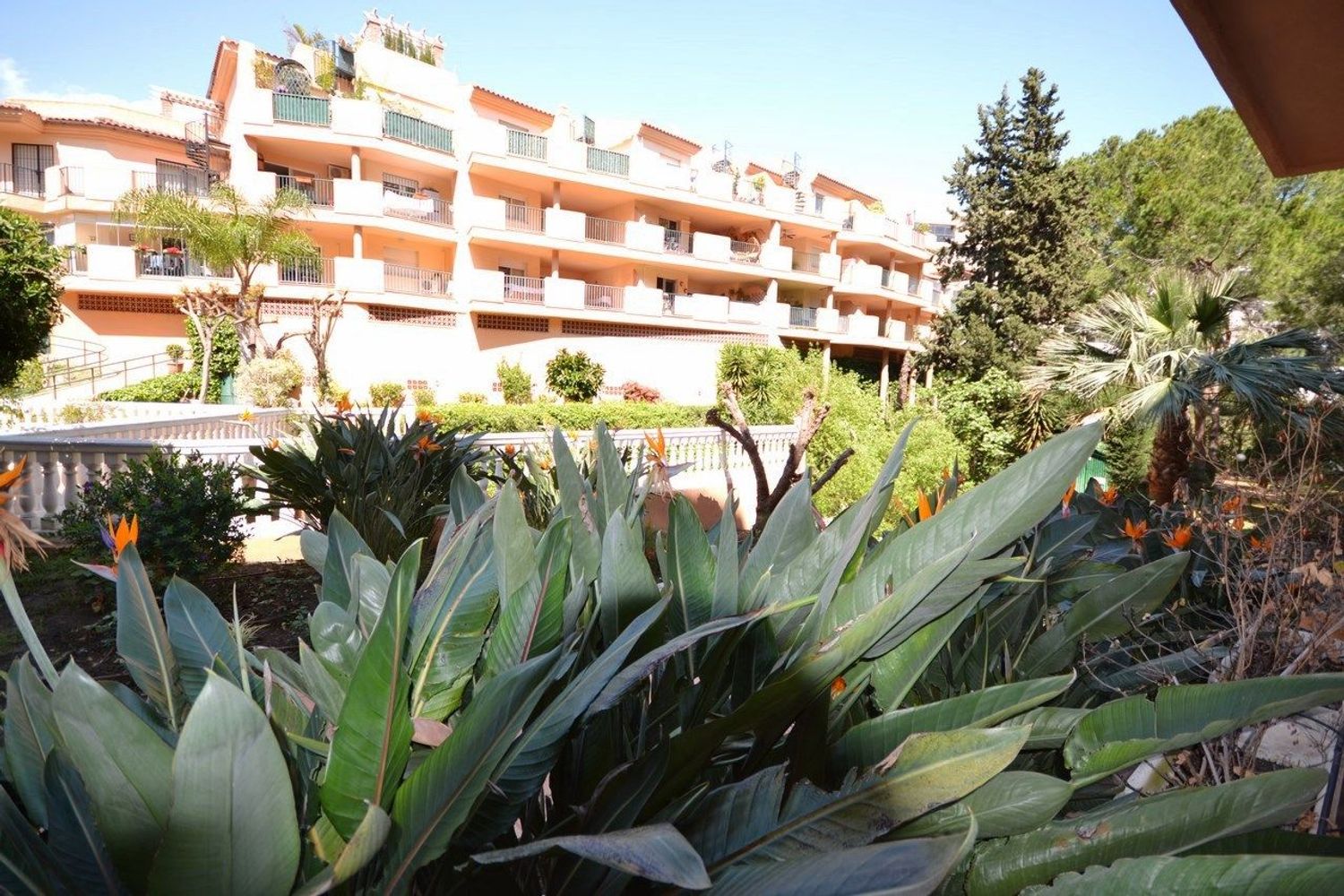 Casa o chalet independiente en Carretera Málaga s/n - Foto 9
