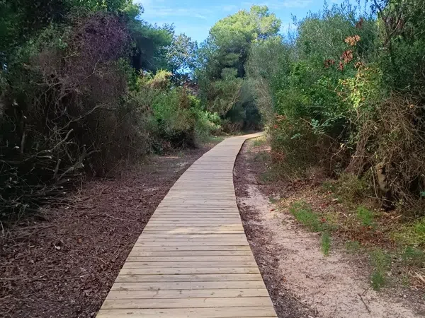 Piso en Avenida Gola del Puchol, 6 - Foto 26