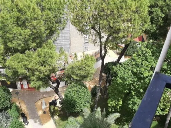 Piso en plaza Pintor Amalio García del Moral, 9 - Foto 13