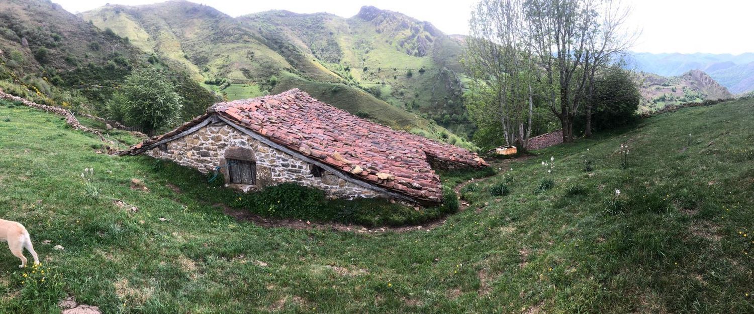 Finca rústica en Camino Camín Real de la Mesa a Bustariega, 3 - Foto 6