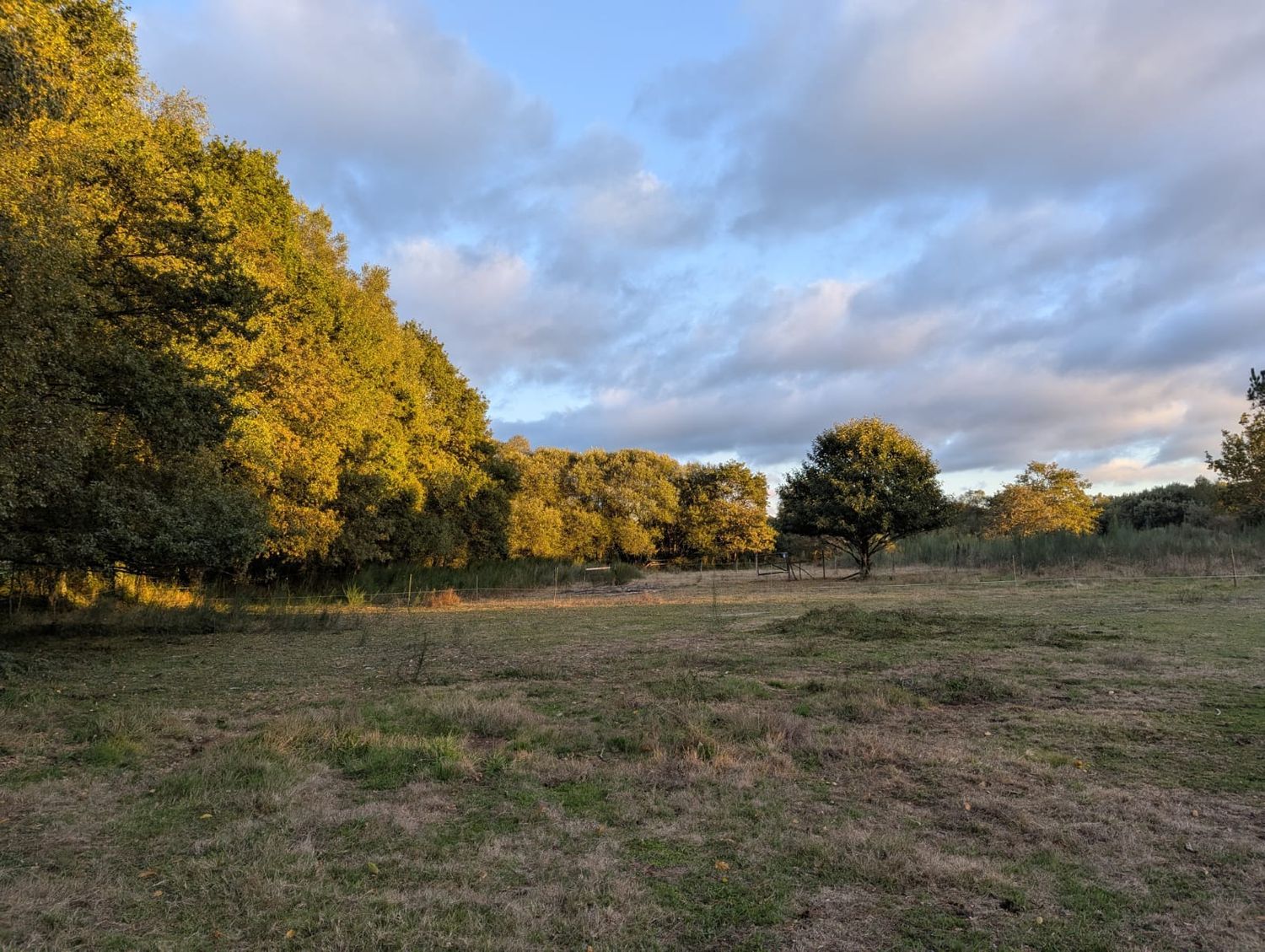 Casa rural en Friol, 1 - Foto 4