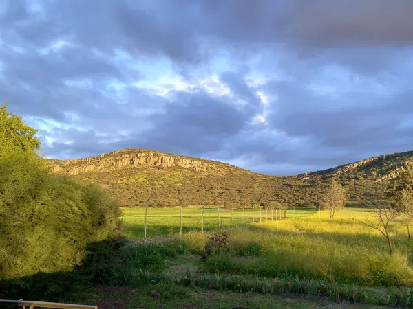 Finca rústica en Camino de Peñalucía s/n - Foto 17