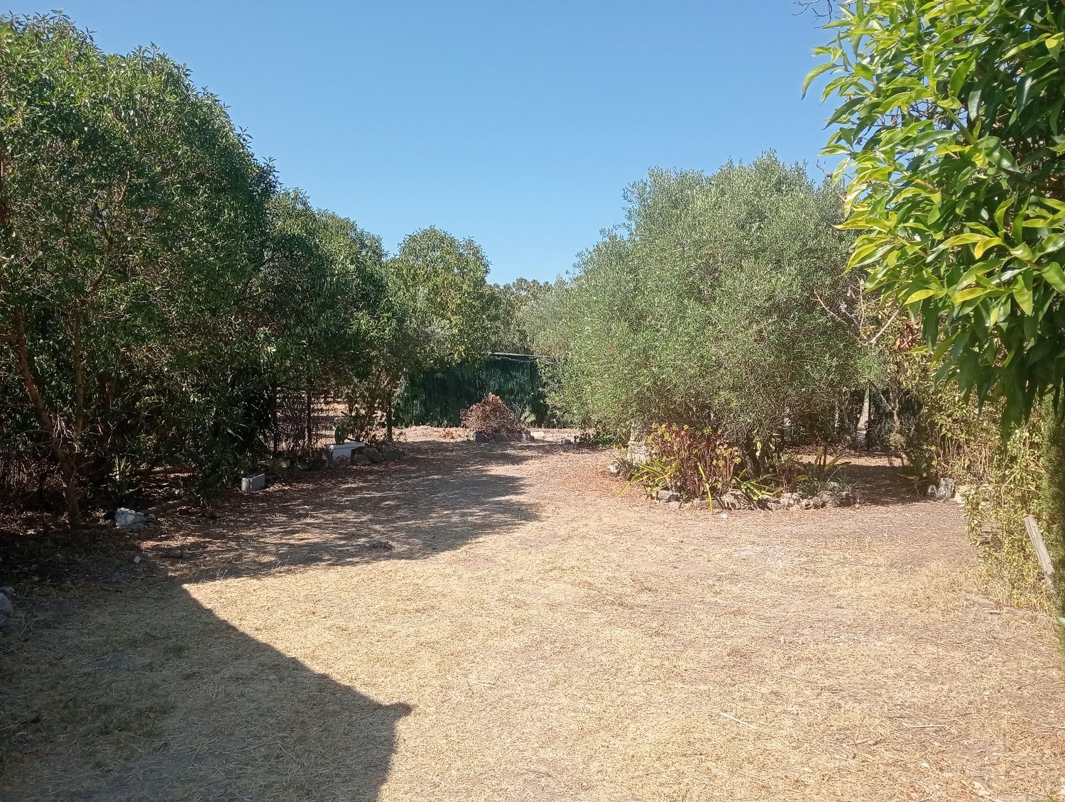 Finca rústica en Son santandreu, 541 - Foto 12
