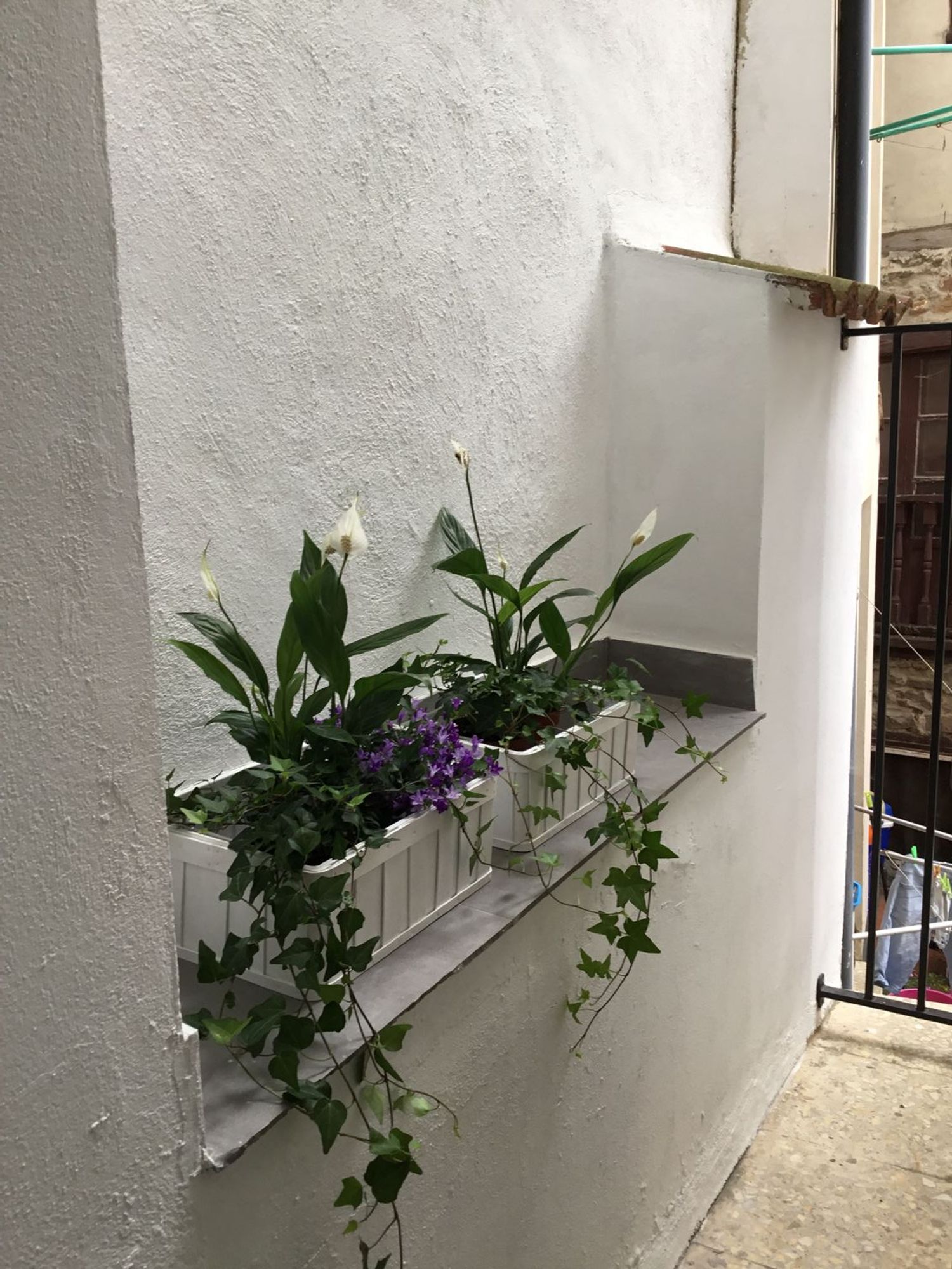 Piso en Calle Obispo, 9 - Foto 4