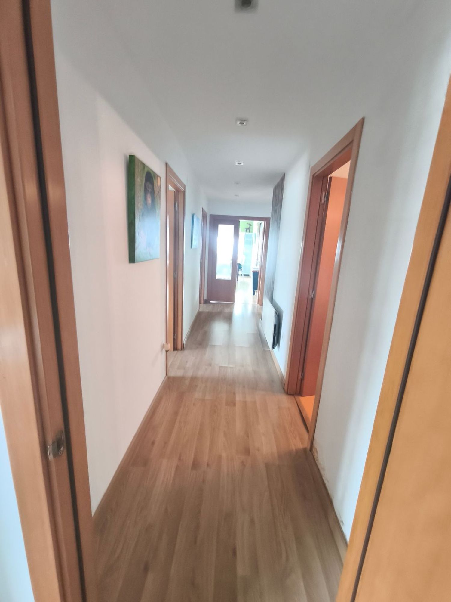 Piso en Paseo Reina Sofia, 16 - Foto 2