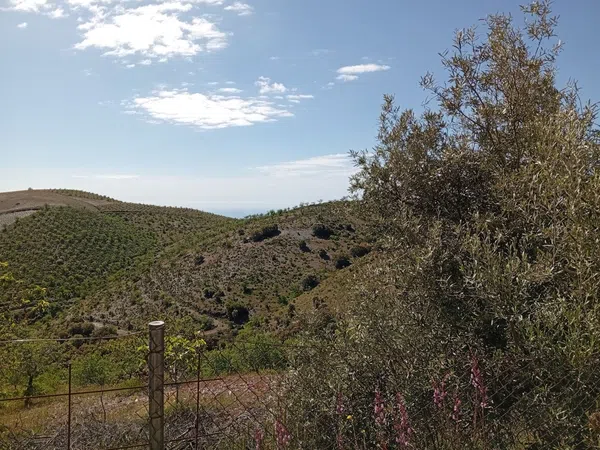 Cortijo en Cortijo en Torvizcon - Foto 19