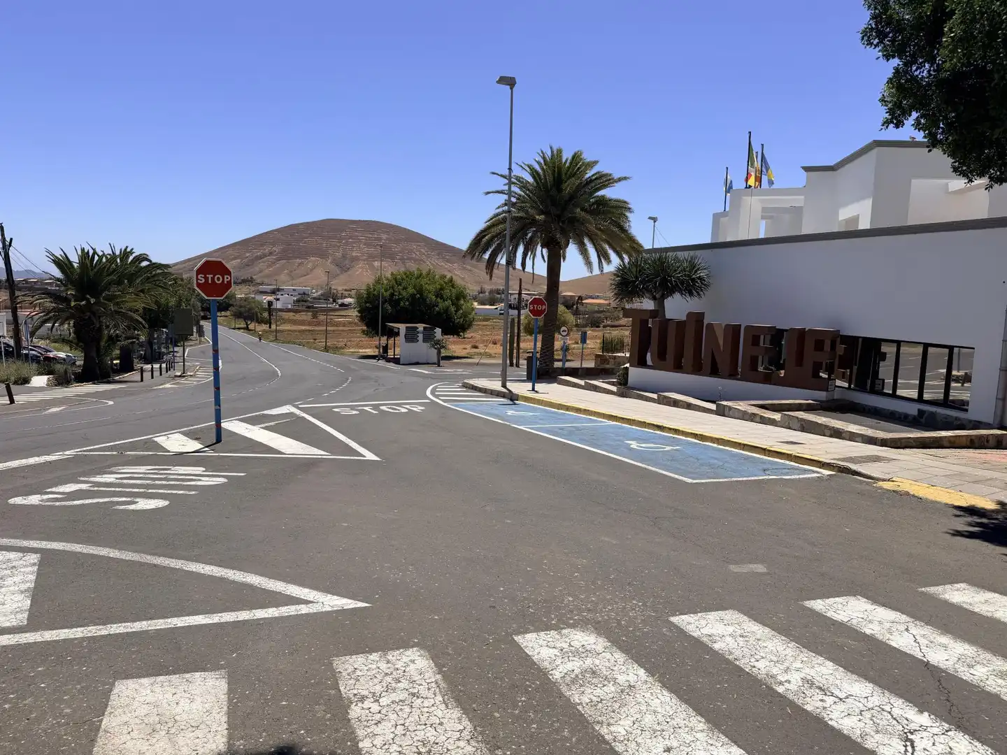 Finca rústica en  Calle Matías Hernández López 1 - Foto 3