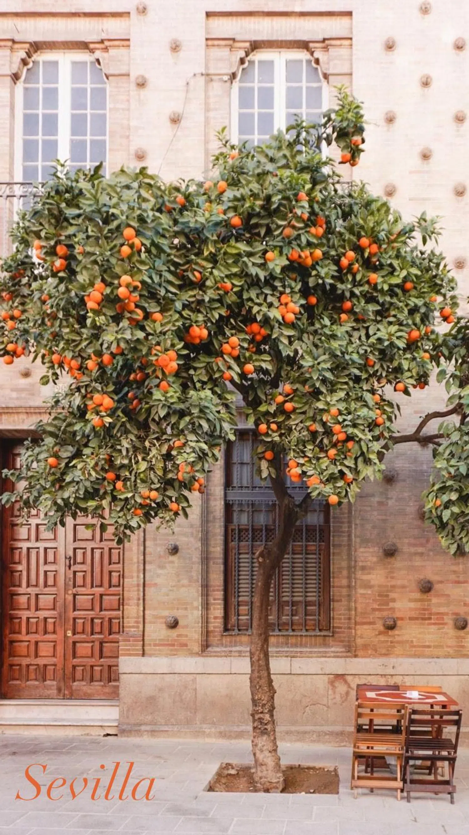 Piso en calle Antonio Gala, 10 - Foto 37