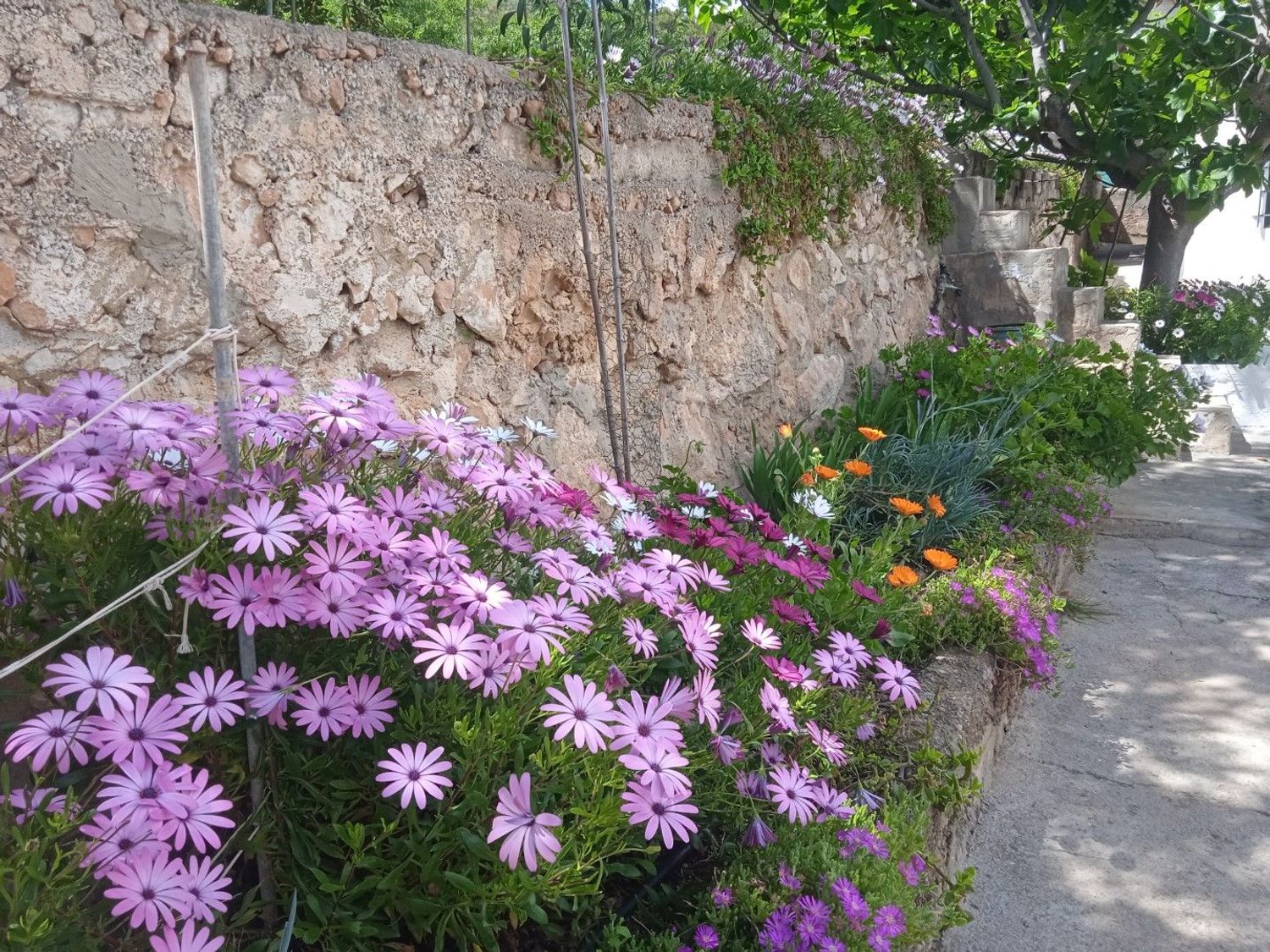Casa rural en Cañada Parda, Poligono 117 , Parcela 135, 135 - Foto 12