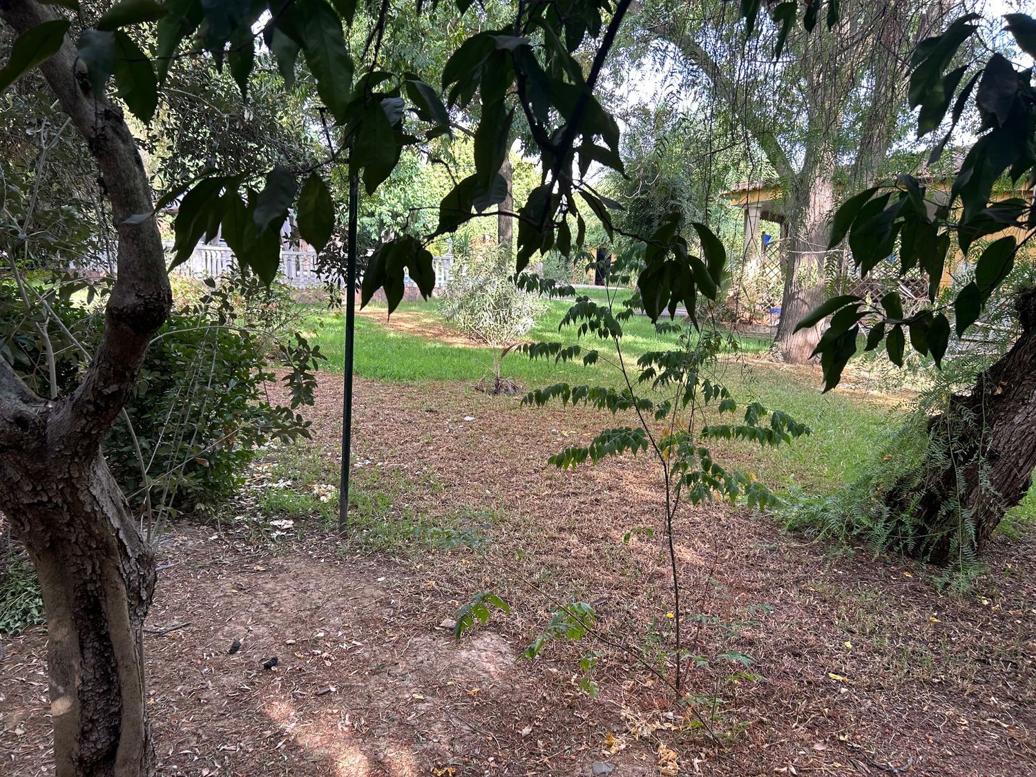 Casa independiente en carretera Puesta Riego Lagar Rubio, 7 k - Foto 38