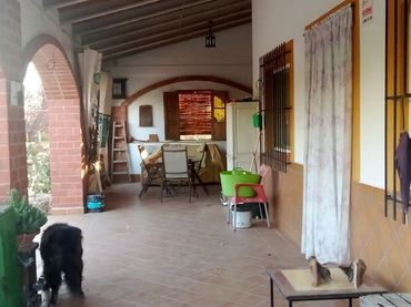 Finca rústica en  Calle Diseminados 1586 - Foto 16