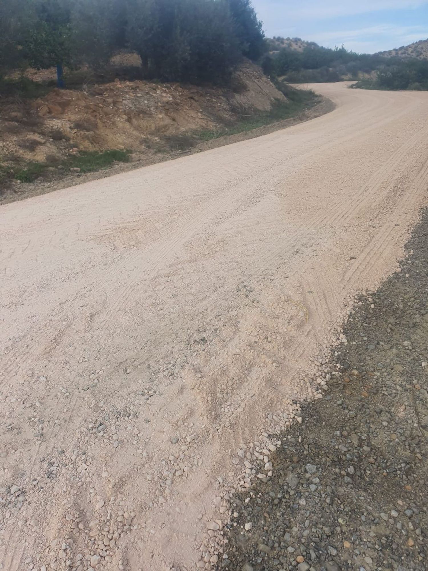Finca rústica en Carril los González y los Pérez, 40, Cañadas de San Pedro - Foto 16