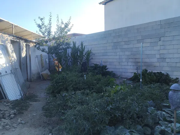 Finca rústica en La rica nueva, 284, Centro, Centro - Foto 20