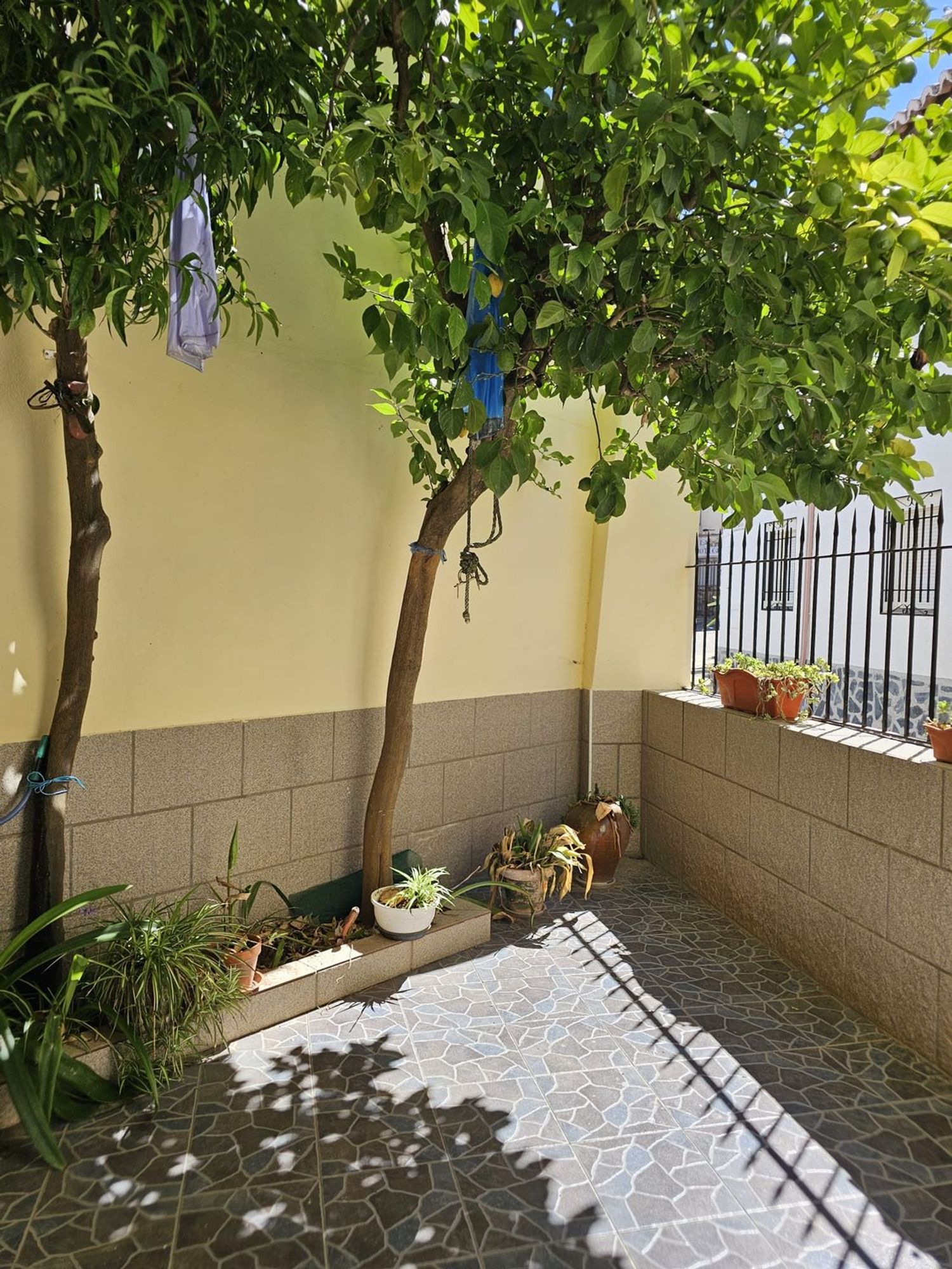 Casa o chalet independiente en Calle de la Nava, 2 - Foto 4