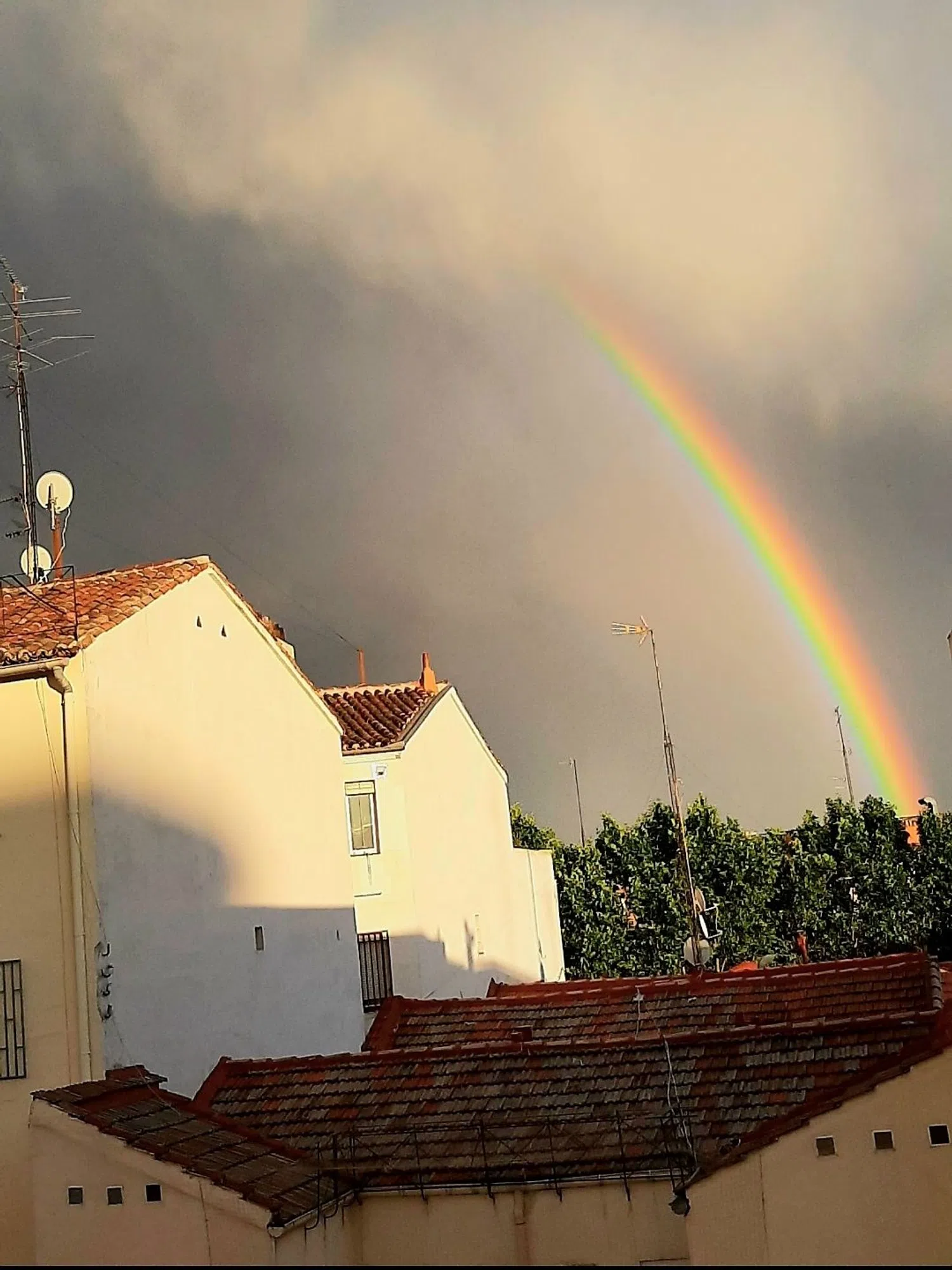 Piso en Juan Sebastian Elcano, 36 - Foto 12