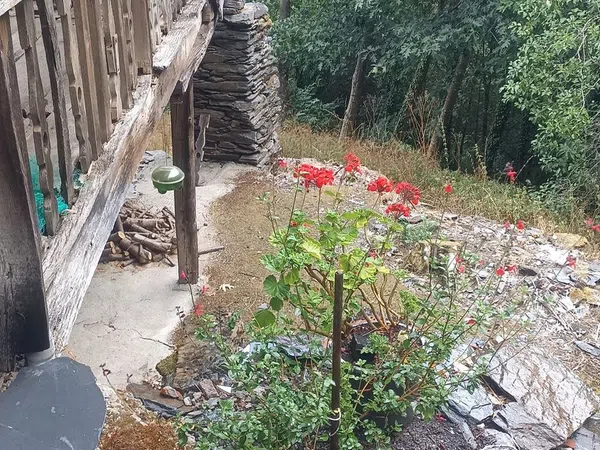 Casa de pueblo en Sarceada, 2 - Foto 15