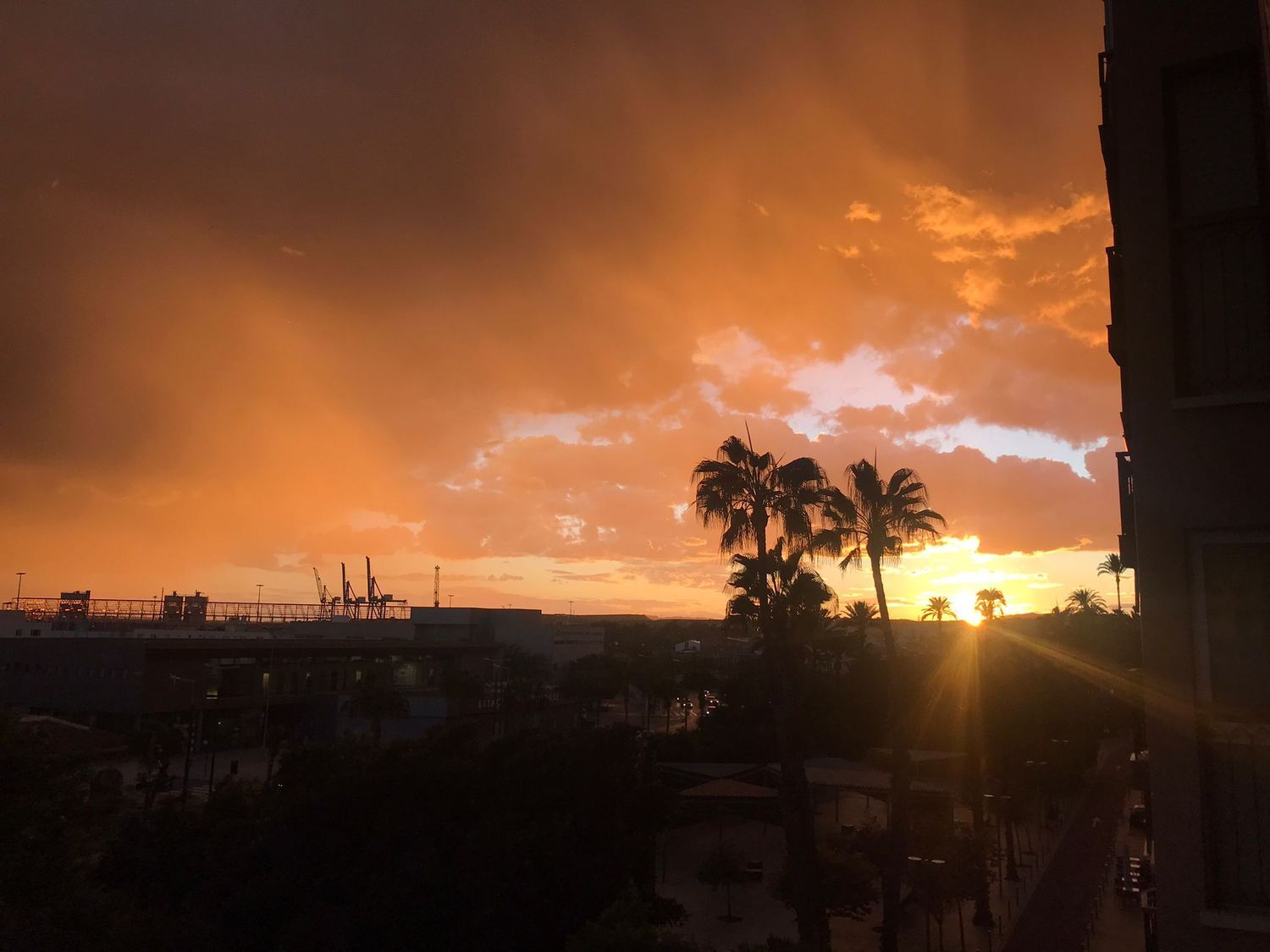 Piso en avenida Eusebi Sempere, 1 - Foto 11