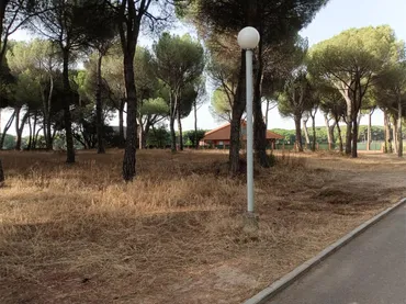 Finca rústica en  Urbanización el Montico 266 - Foto 1