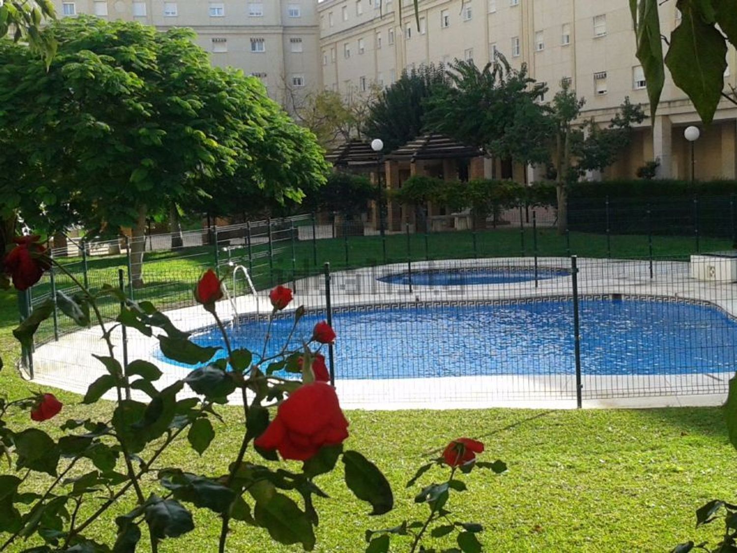 Piso en avenida de Plutarco, 75 - Foto 1