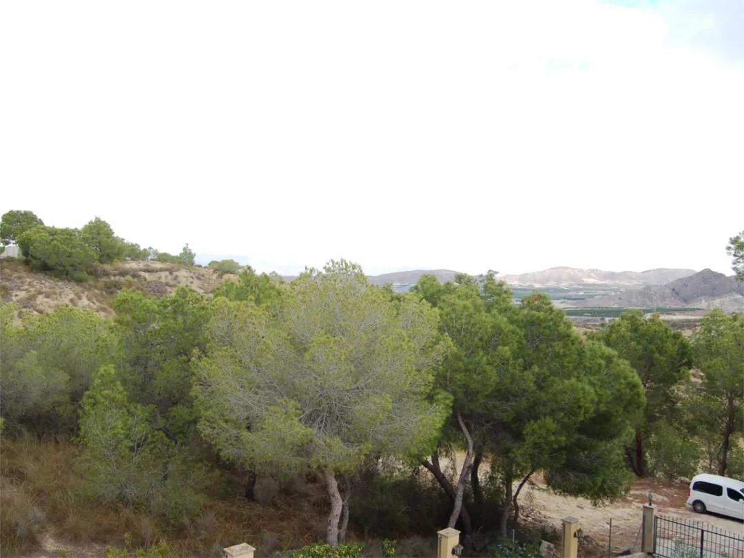 Chalet en  Urbanización la Pinada 37 - Foto 8