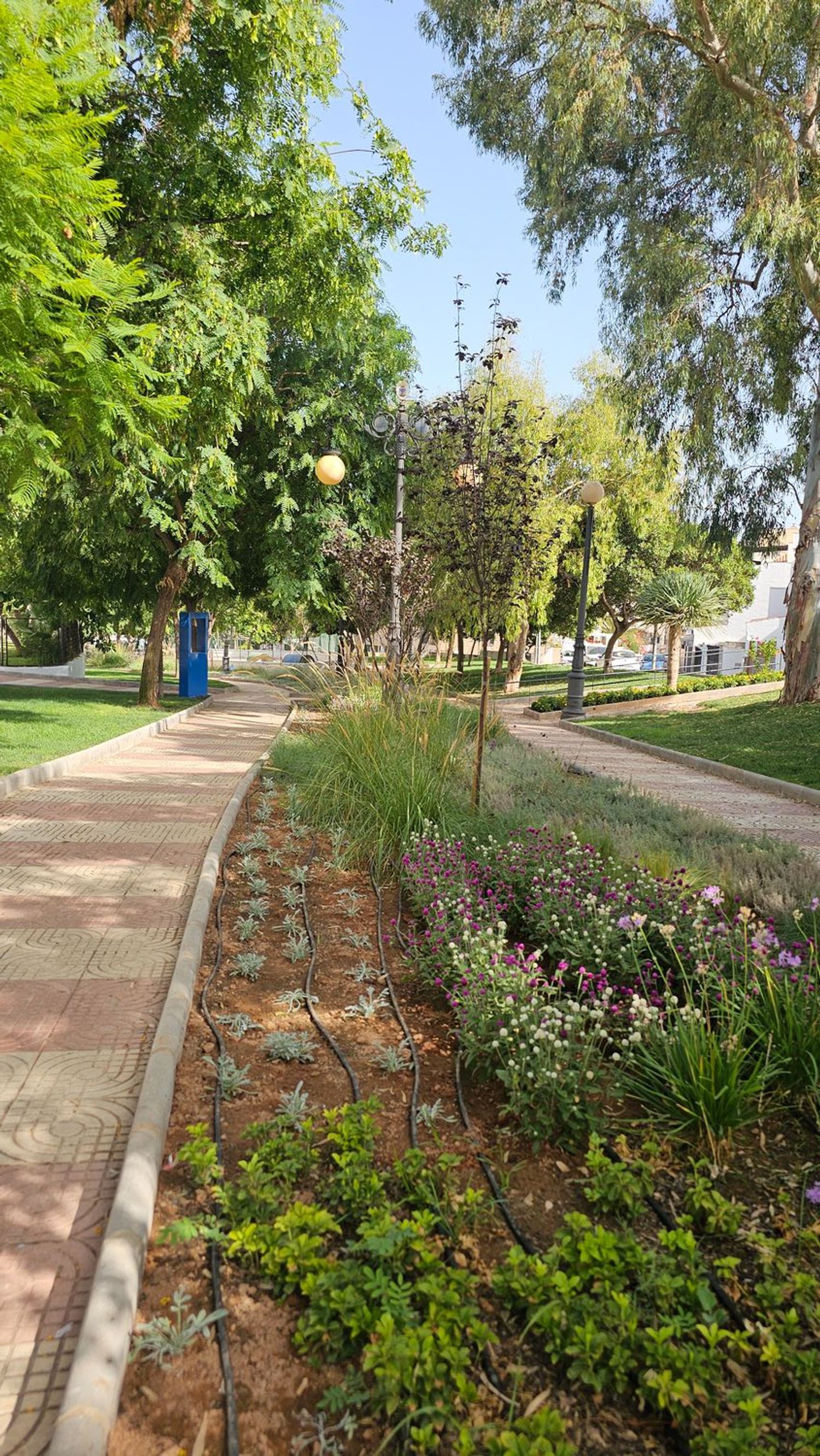 Piso en Calle Piamonte, 125, Aguadulce norte - Foto 13